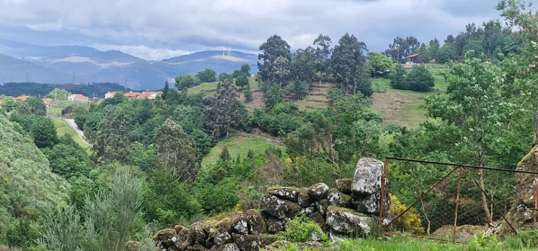 Terreno para Venda em Ruivães e Campos Foto 14