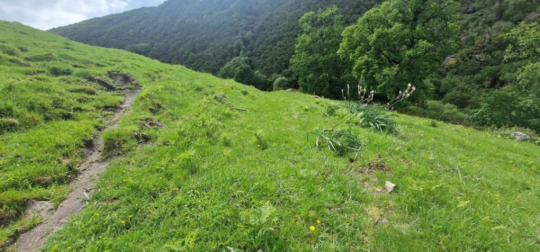 Terreno para Venda em Ruivães e Campos Foto 33