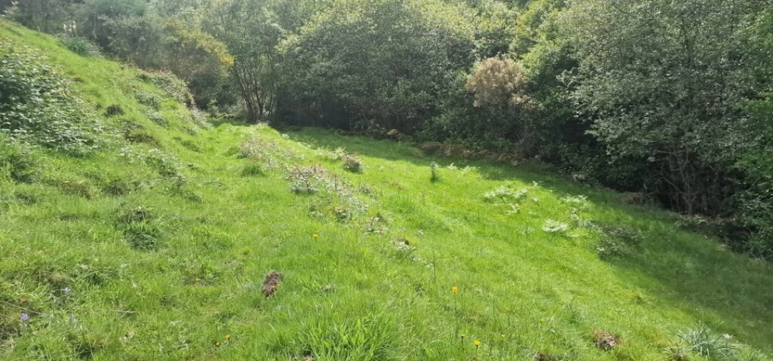 Terreno para Venda em Ruivães e Campos Foto 25