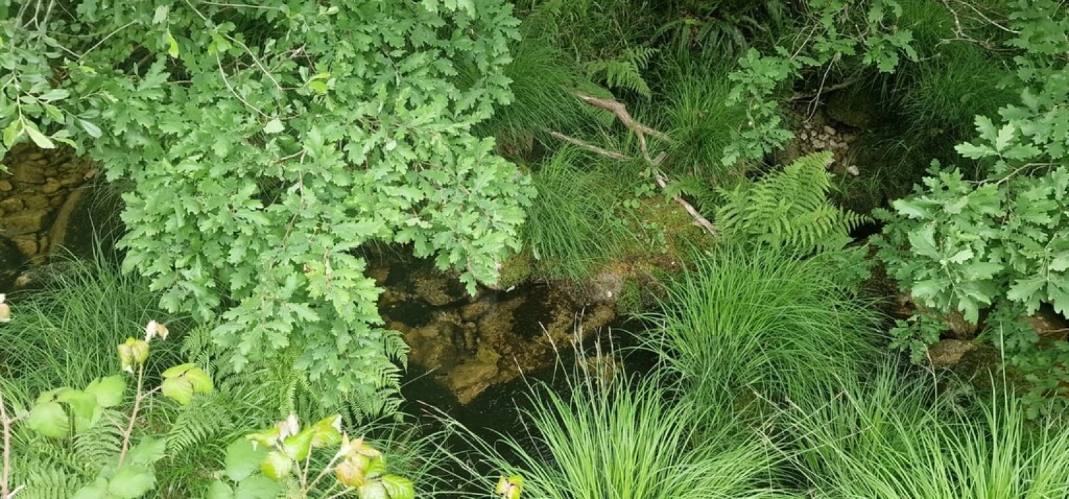 Terreno para Venda em Ruivães e Campos Foto 35