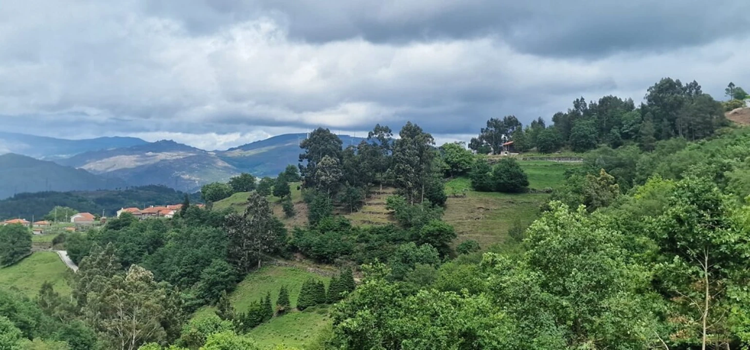 Terreno para Venda em Ruivães e Campos Foto 9