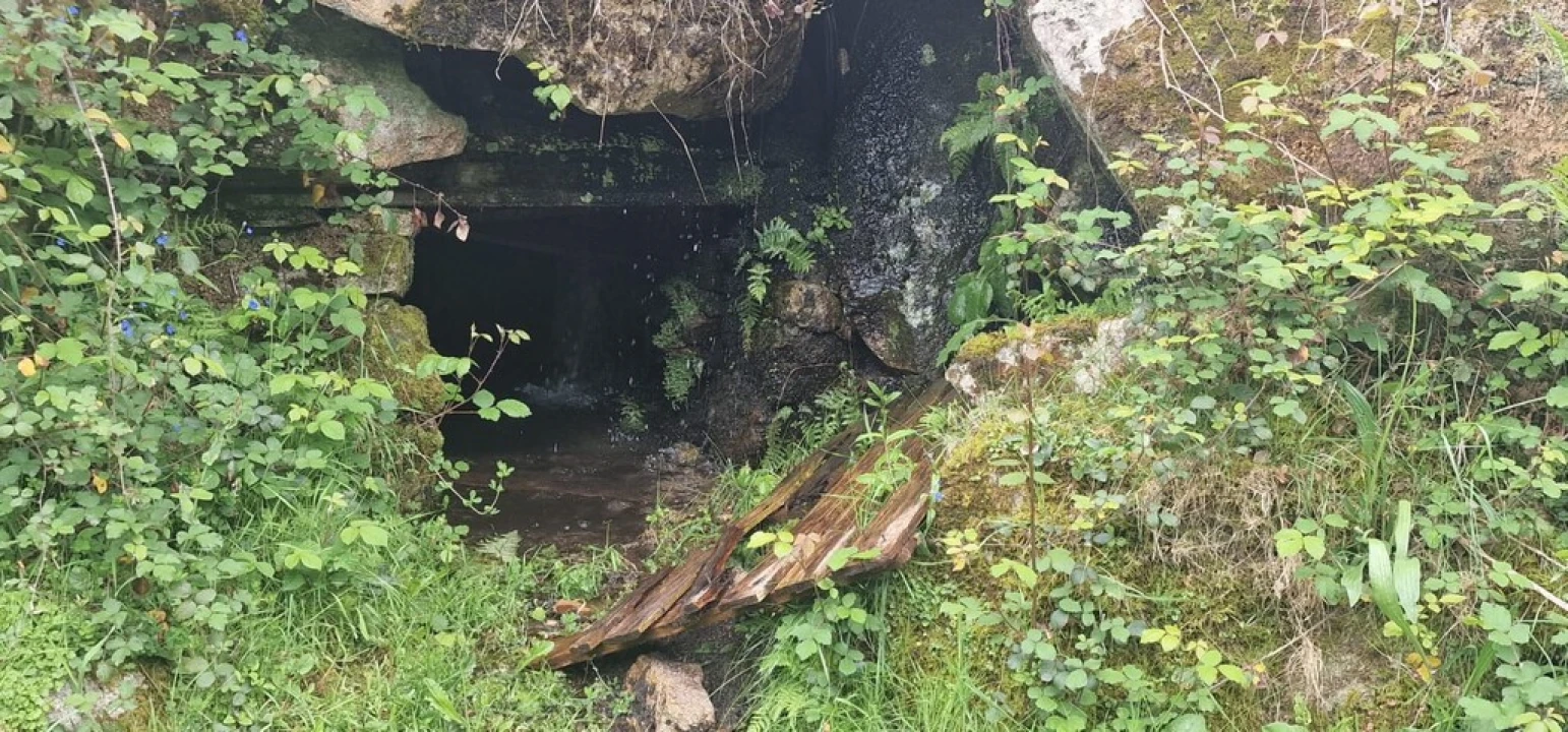 Terreno para Venda em Ruivães e Campos Foto 34