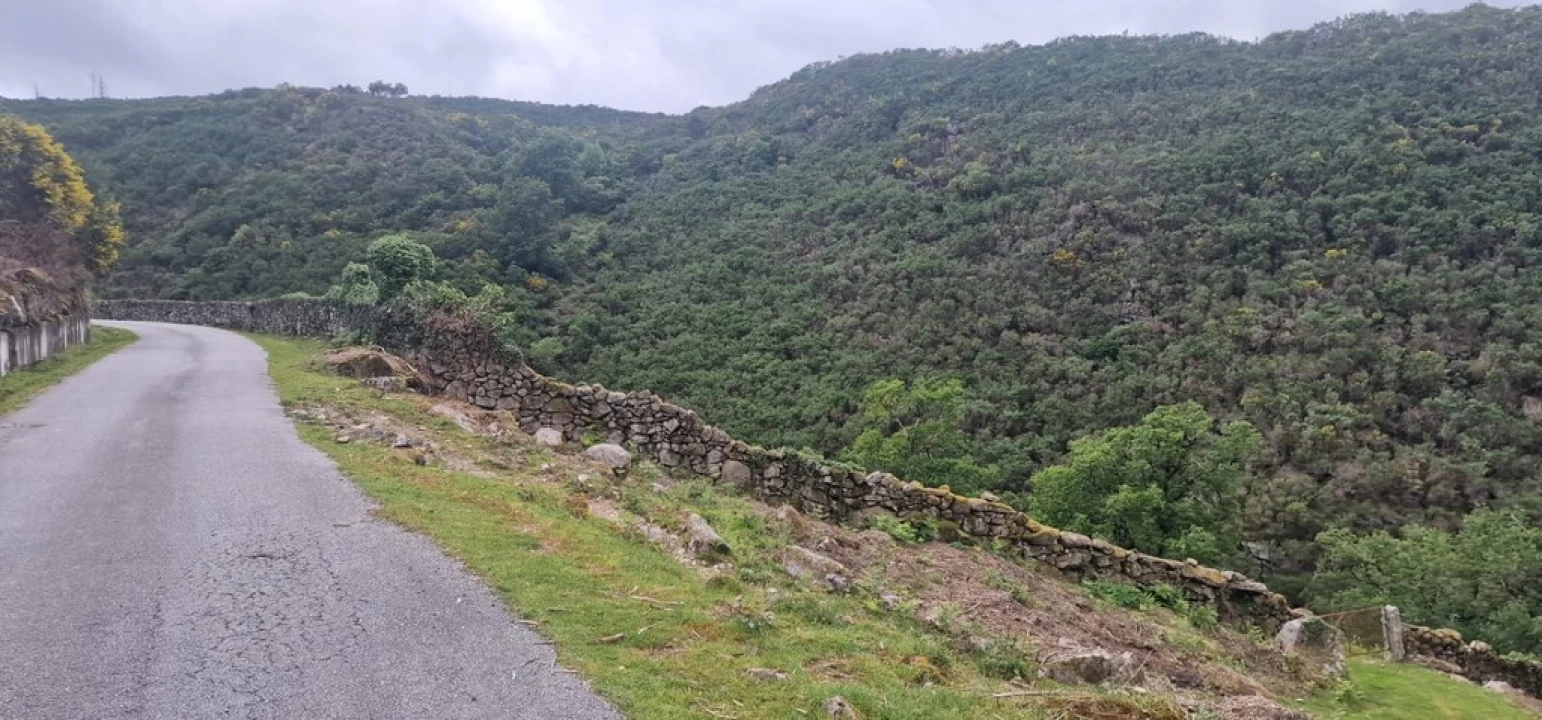 Terreno para Venda em Ruivães e Campos Foto 3