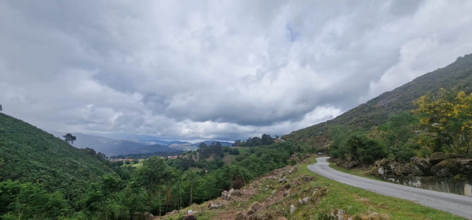 Terreno para Venda em Ruivães e Campos Foto 8