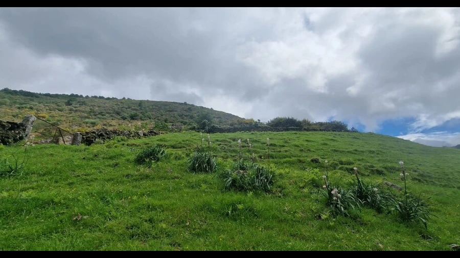 Terreno para Venda em Ruivães e Campos