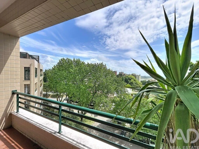 Apartamento T3 para Venda em Aldoar, Foz do Douro e Nevogilde Foto 2