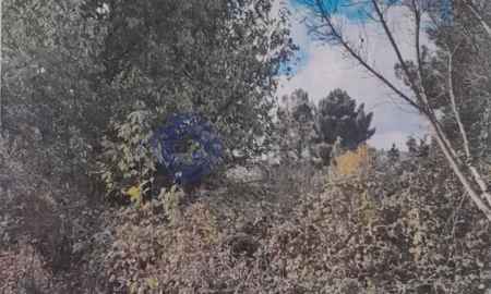 Terreno para Venda em Silvares