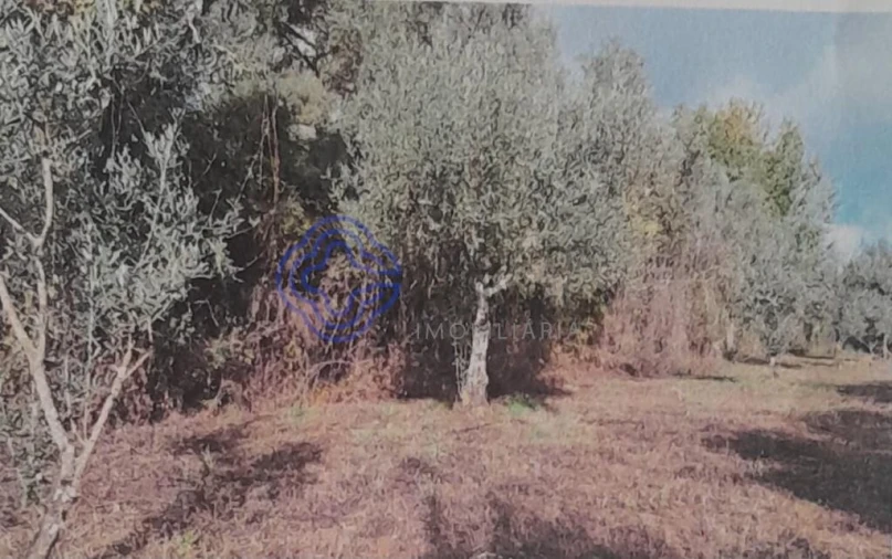 Terreno para Venda em Silvares Foto 3