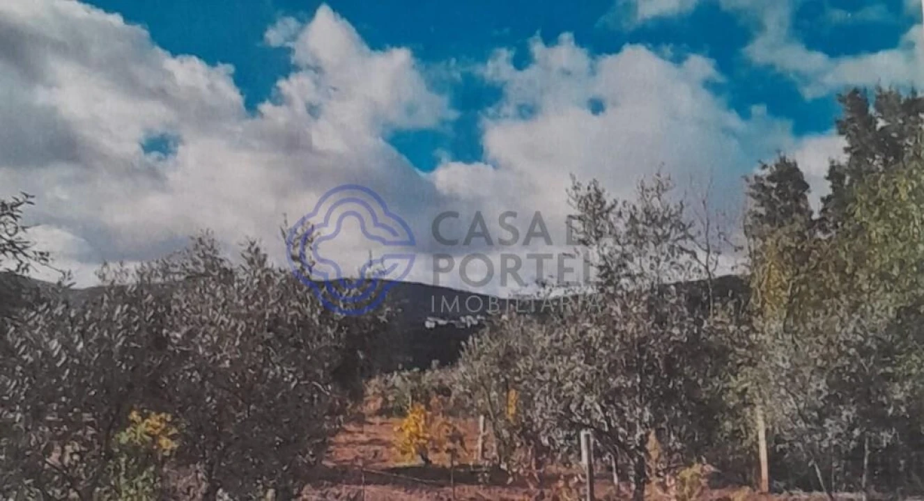Terreno para Venda em Silvares Foto 1
