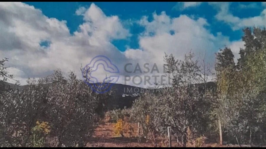 Terreno para Venda em Silvares
