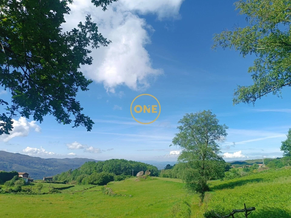 Terreno para Venda em Cibões e Brufe Foto 5