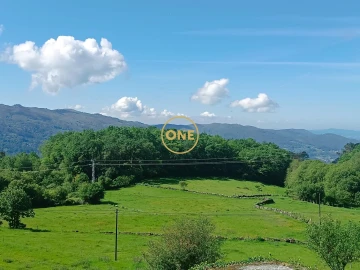 Terreno para Venda em Cibões e Brufe