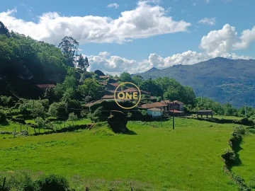 Terreno para Venda em Cibões e Brufe