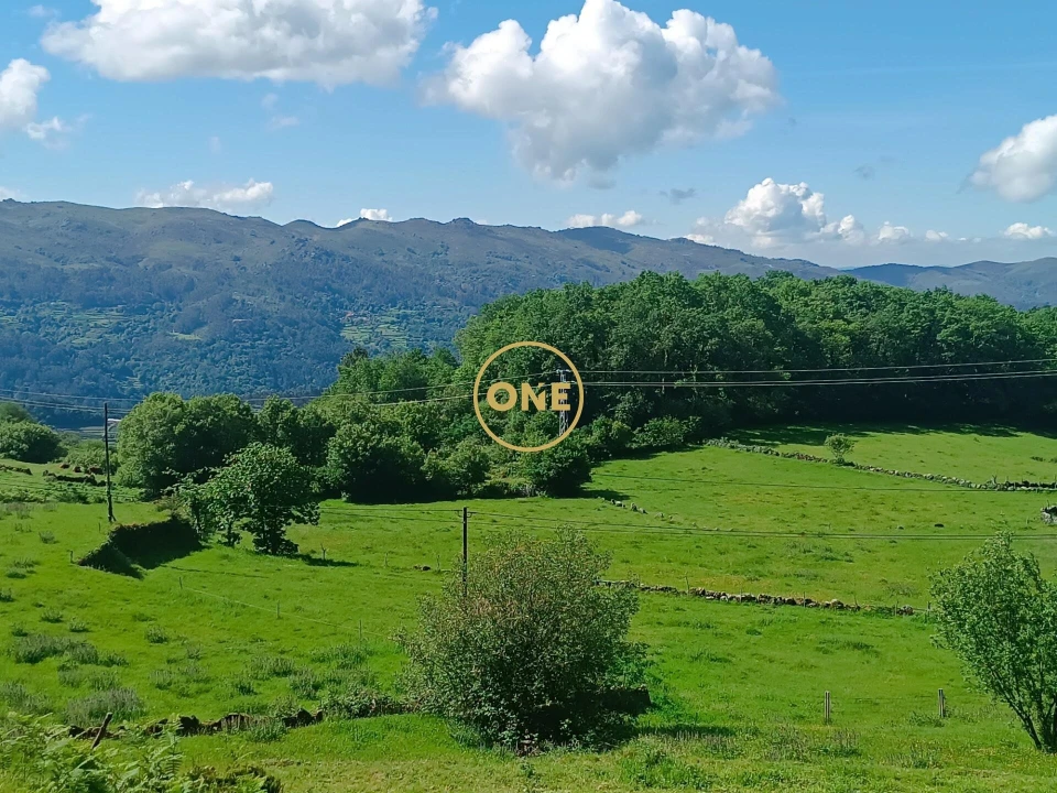 Terreno para Venda em Cibões e Brufe Foto 2