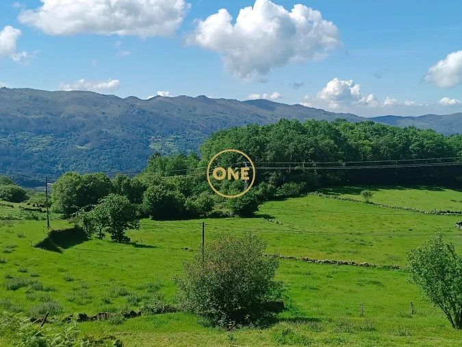 Terreno para Venda em Cibões e Brufe Foto 2