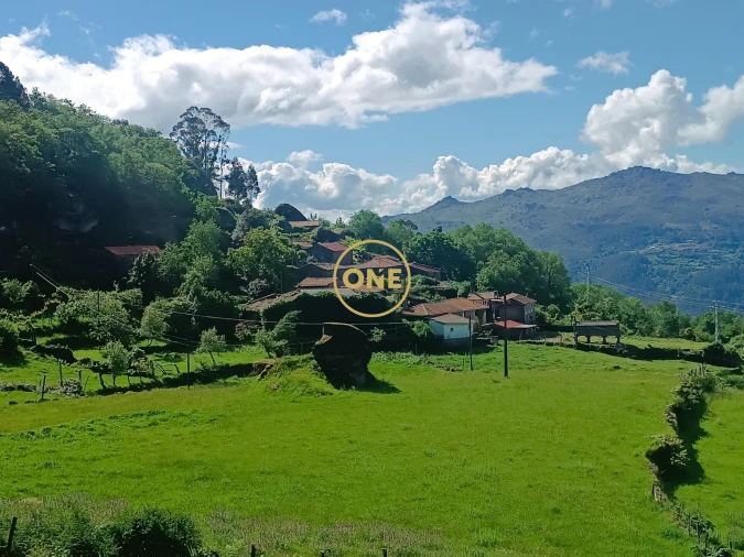 Terreno para Venda em Cibões e Brufe Foto 3