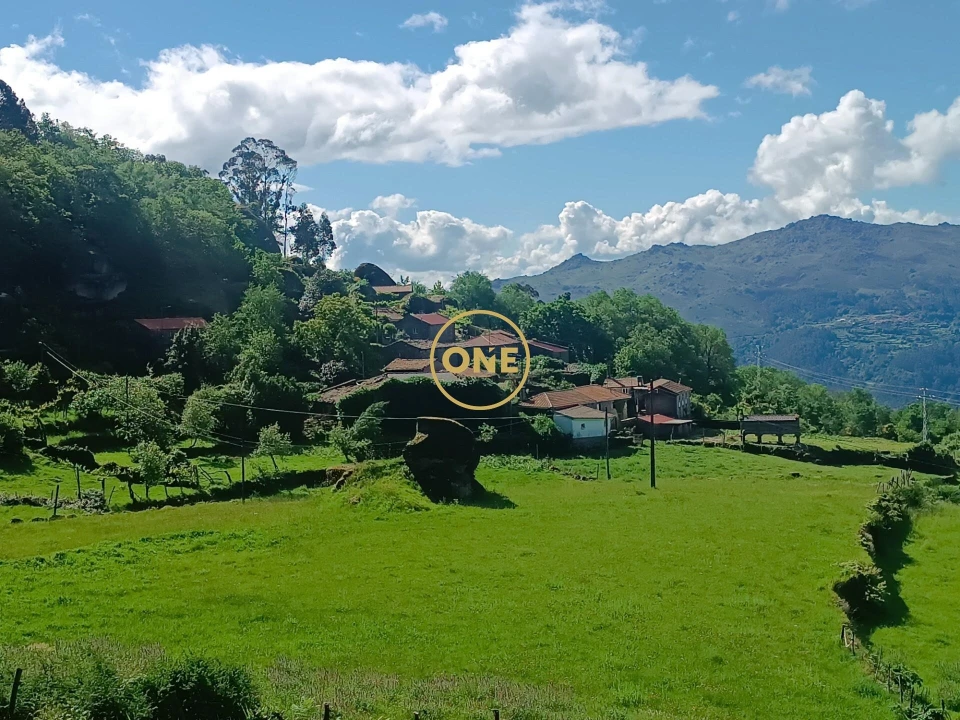 Terreno para Venda em Cibões e Brufe Foto 3