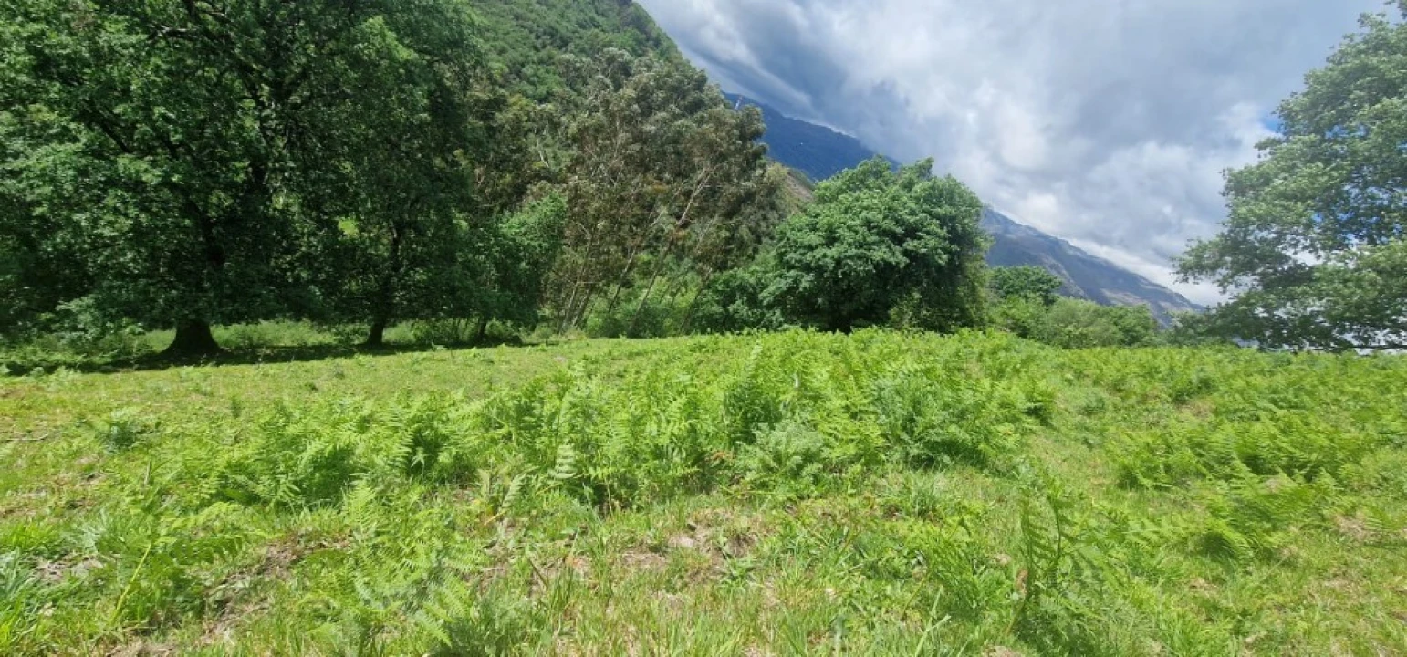 Terreno para Venda em Ruivães e Campos Foto 5