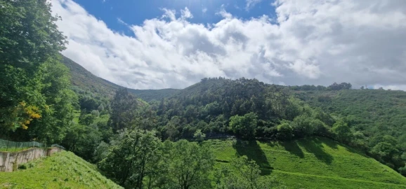 Terreno para Venda em Ruivães e Campos