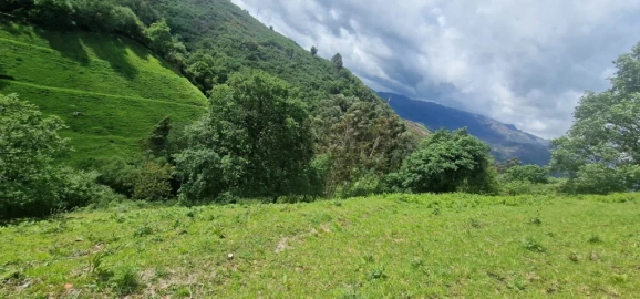 Terreno para Venda em Ruivães e Campos