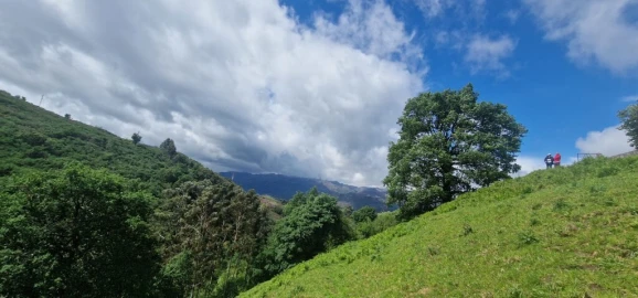 Terreno para Venda em Ruivães e Campos