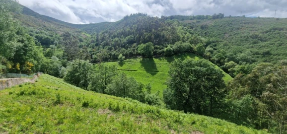 Terreno para Venda em Ruivães e Campos