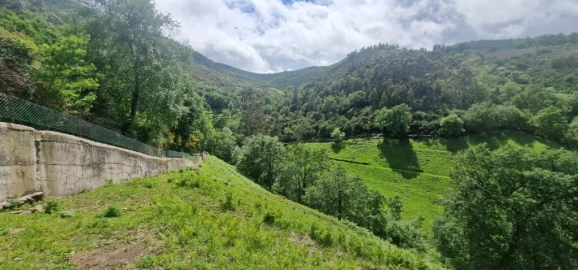 Terreno para Venda em Ruivães e Campos