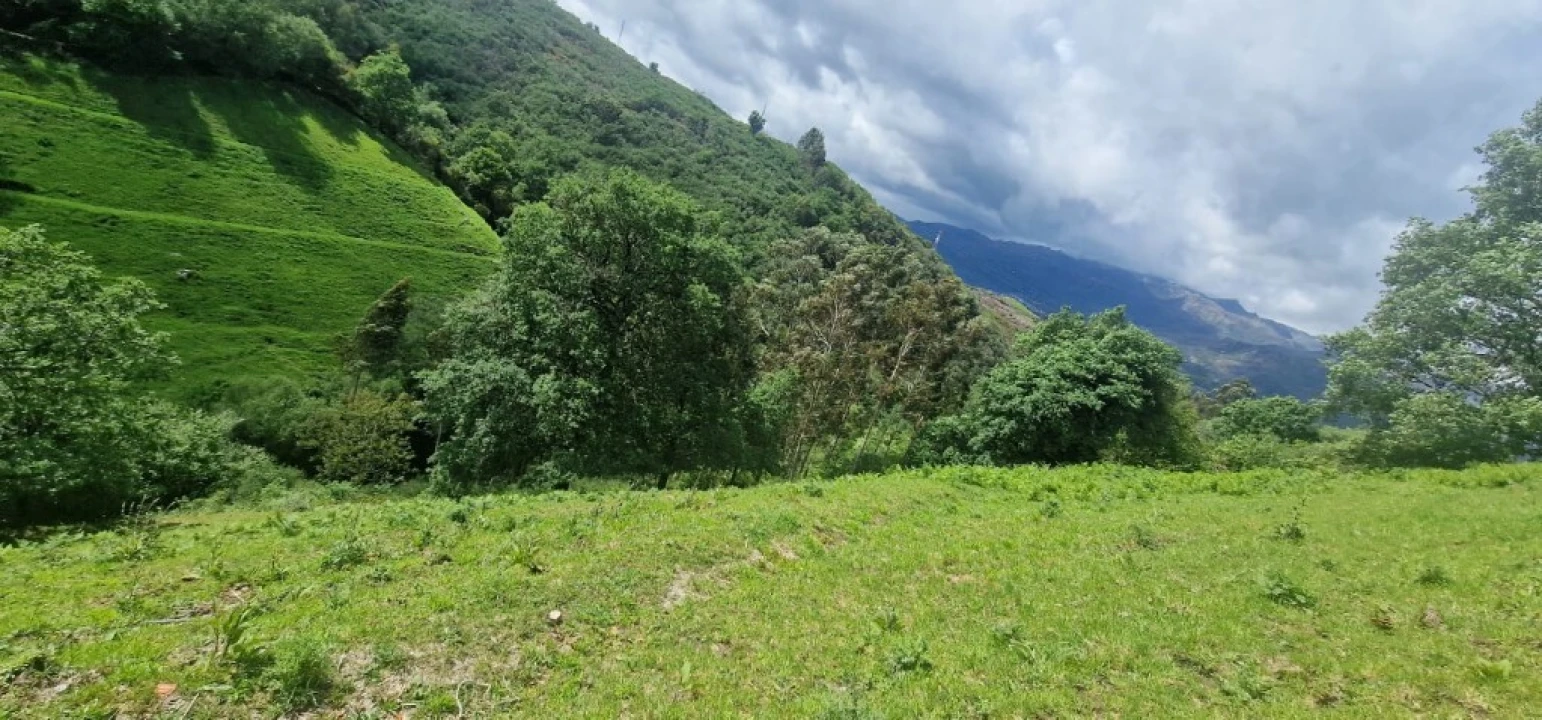 Terreno para Venda em Ruivães e Campos Foto 11