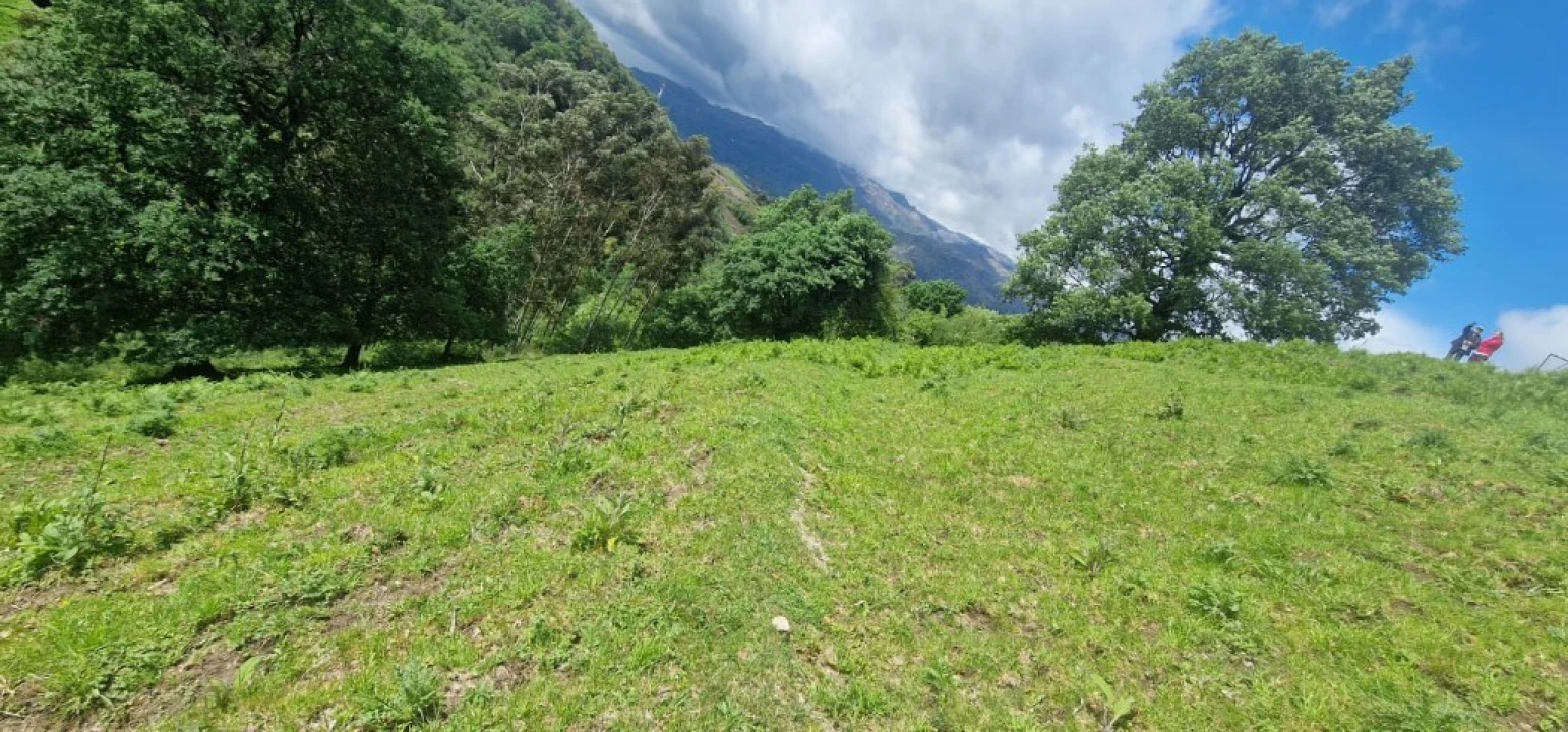 Terreno para Venda em Ruivães e Campos Foto 8