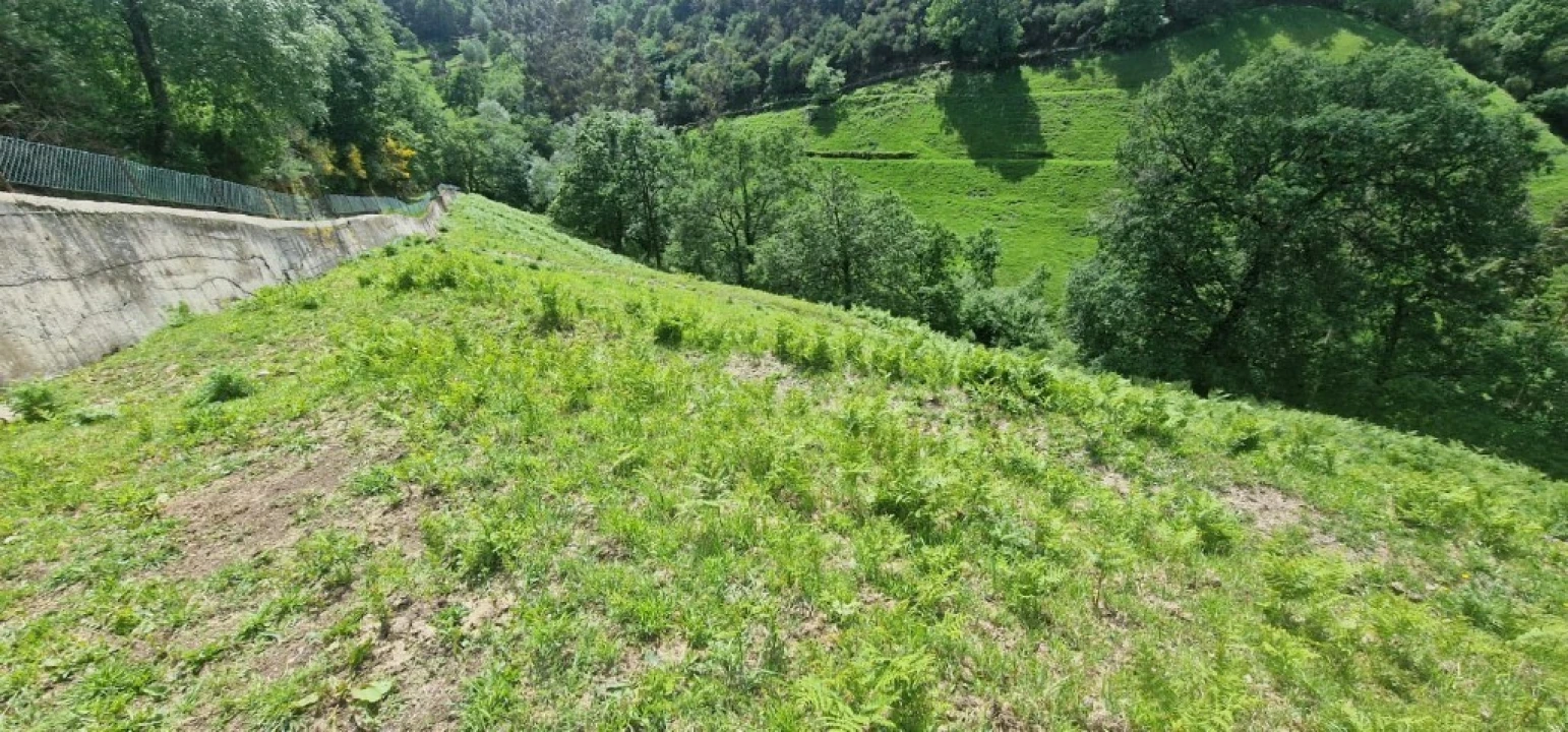 Terreno para Venda em Ruivães e Campos Foto 19