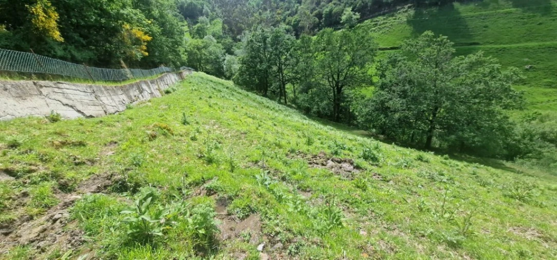 Terreno para Venda em Ruivães e Campos Foto 10