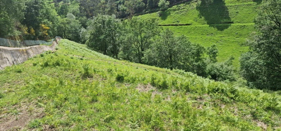 Terreno para Venda em Ruivães e Campos Foto 18