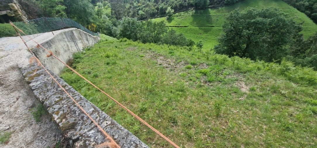 Terreno para Venda em Ruivães e Campos Foto 15