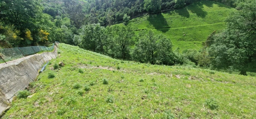 Terreno para Venda em Ruivães e Campos Foto 12