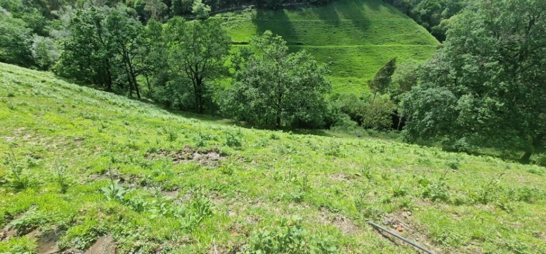 Terreno para Venda em Ruivães e Campos Foto 9