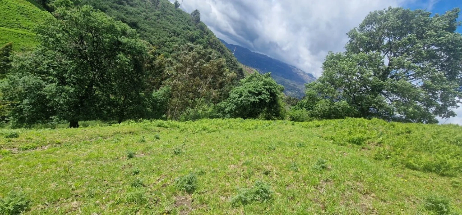 Terreno para Venda em Ruivães e Campos Foto 13