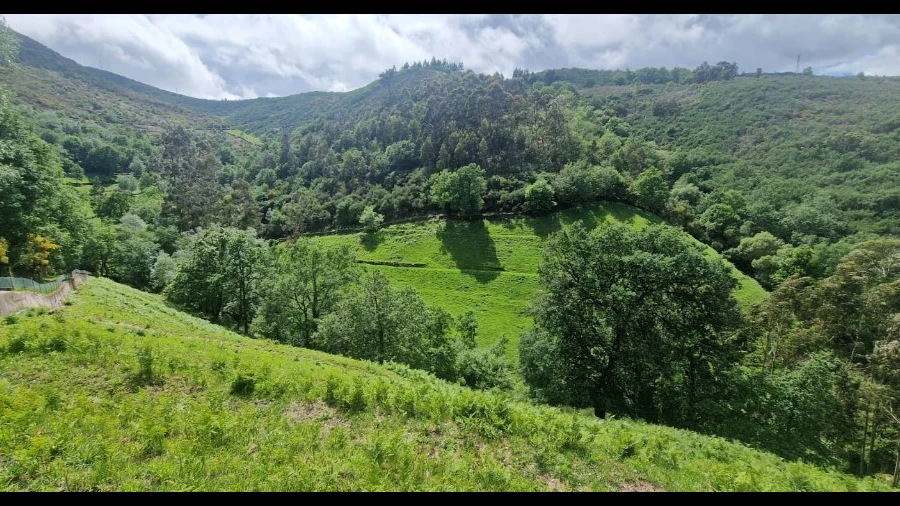 Terreno para Venda em Ruivães e Campos
