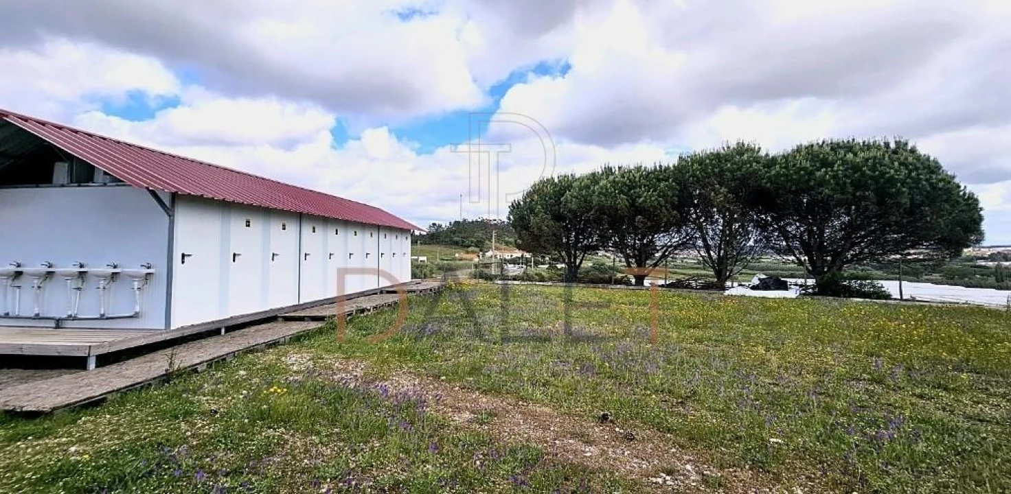 Negócio para Venda em A dos Cunhados e Maceira Foto 61
