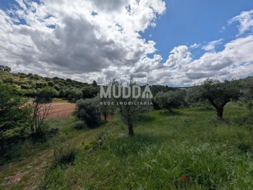 Terreno para Venda em Sé, Santa Maria e Meixedo