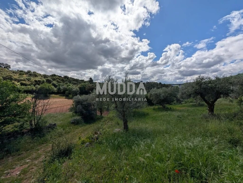 Terreno para Venda em Sé, Santa Maria e Meixedo Foto 1
