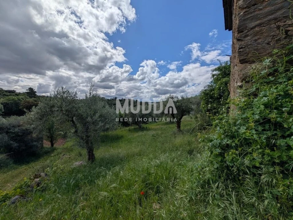 Terreno para Venda em Sé, Santa Maria e Meixedo Foto 2