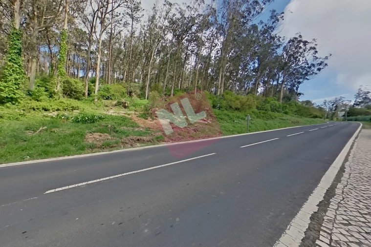Moradia T4 para Venda em Colares Foto 68