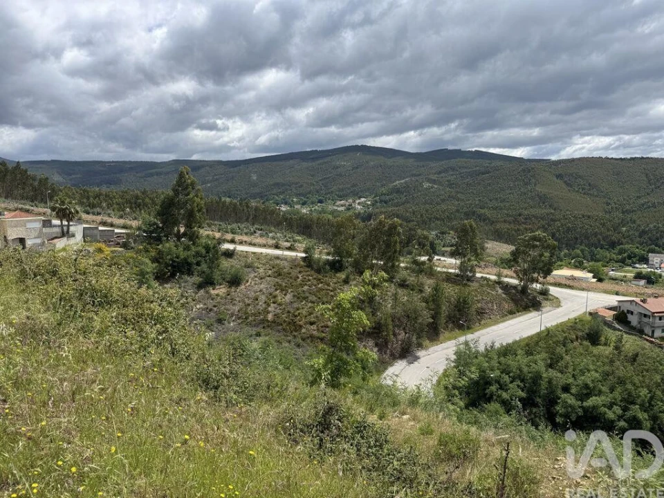 Terreno para Venda em Castanheira de Pêra e Coentral Foto 11
