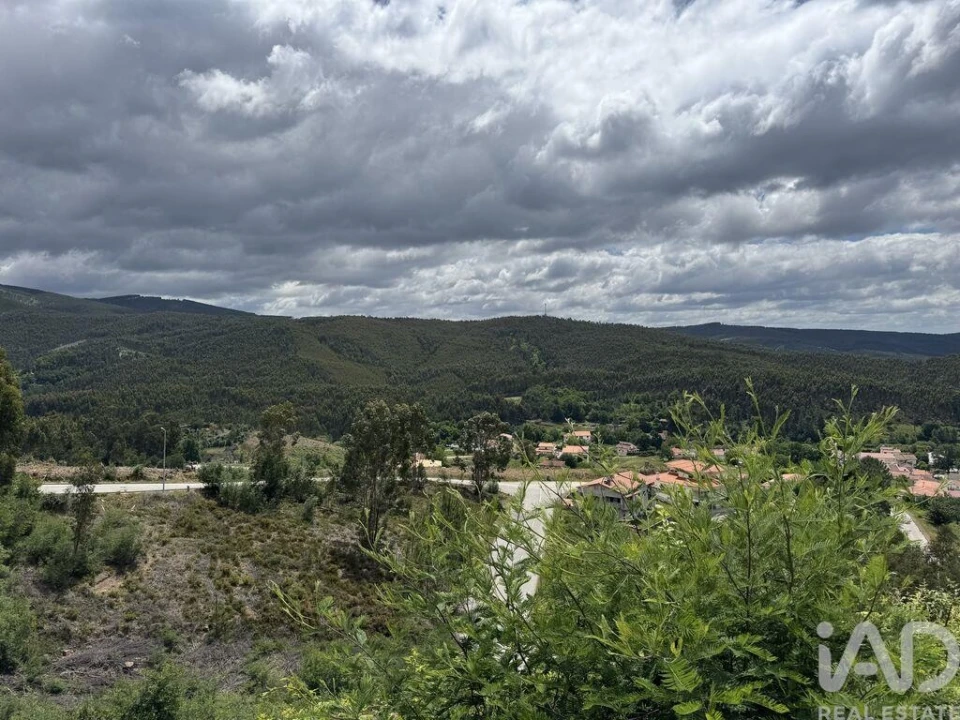Terreno para Venda em Castanheira de Pêra e Coentral Foto 10