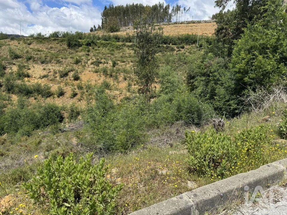 Terreno para Venda em Castanheira de Pêra e Coentral Foto 2