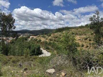 Terreno para Venda em Castanheira de Pêra e Coentral