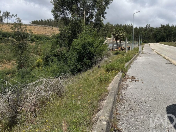 Terreno para Venda em Castanheira de Pêra e Coentral Foto 8