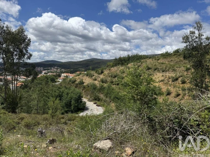 Terreno para Venda em Castanheira de Pêra e Coentral Foto 4