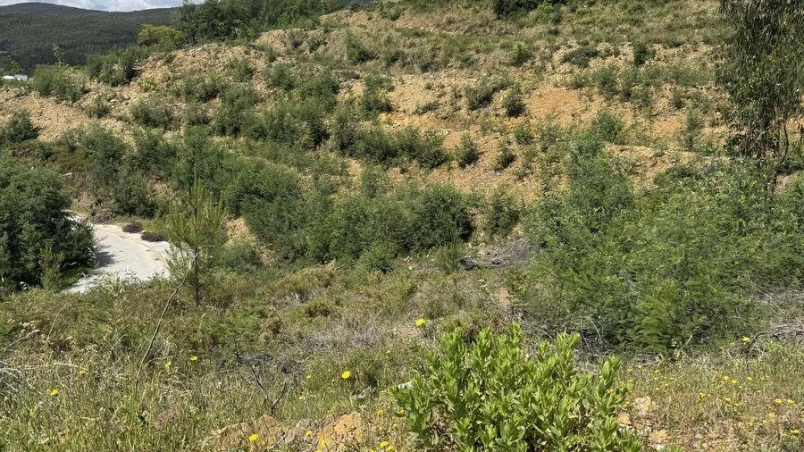 Terreno para Venda em Castanheira de Pêra e Coentral