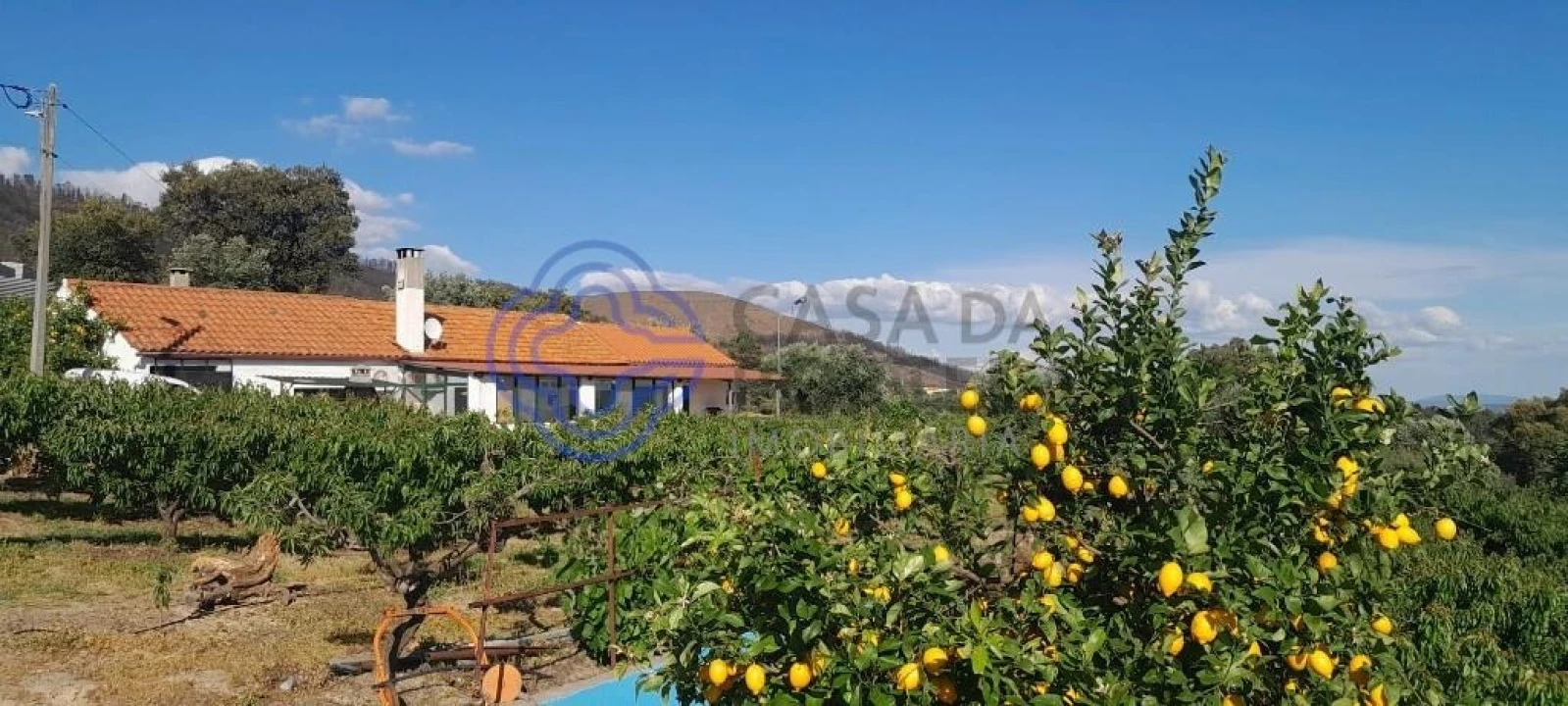 Moradia T2 para Venda em Vale de Prazeres e Mata da Rainha Foto 8